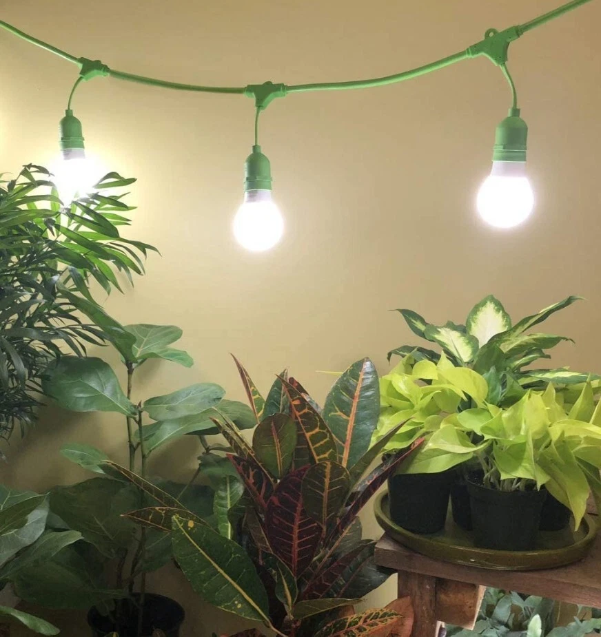 Miracle LED 3-Foot 2-Socket Corded Lighting